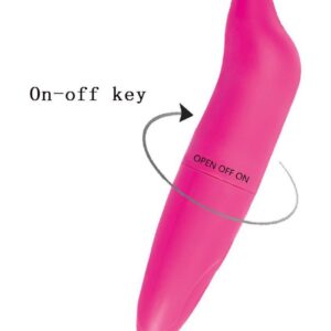 Rose Red Mini Dolphin Vibrator For Woman G Spot Stimulator