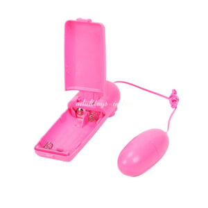 Bullet Egg Remote Controled Vibrator Clitoral G Spot Stimulators for women