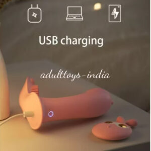 10 Speed vibrating Rabbit Wearable Panties dildo G Spot Massager